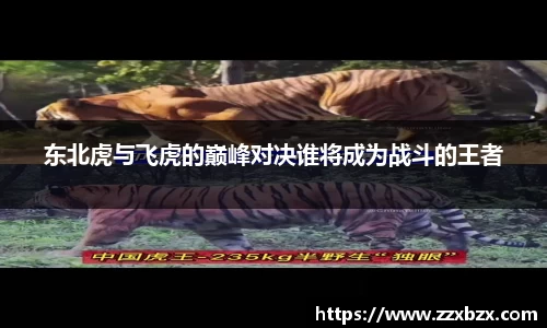 东北虎与飞虎的巅峰对决谁将成为战斗的王者
